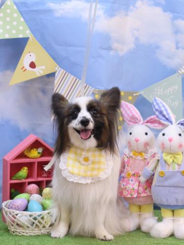 20240317マリーちゃん